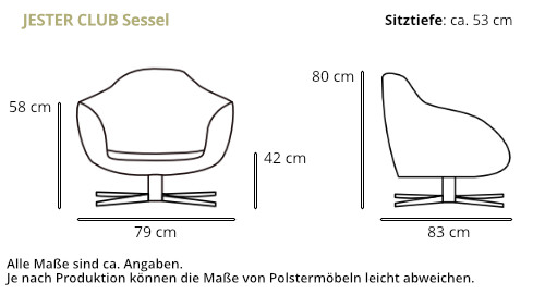 JESTER Clubsessel von signet